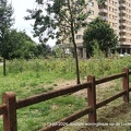 07-20240713 143120